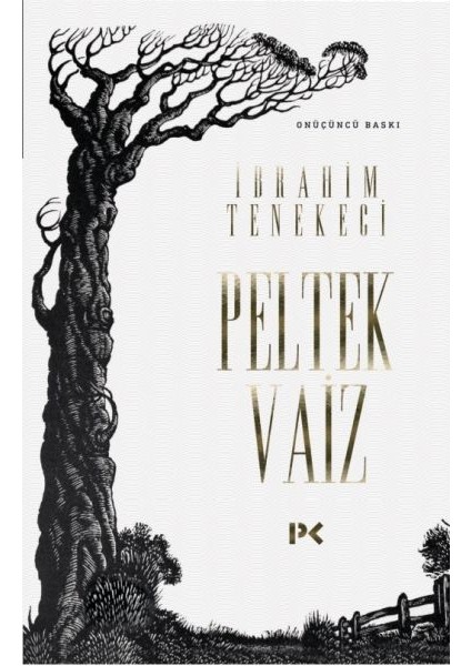 Peltek Vaiz