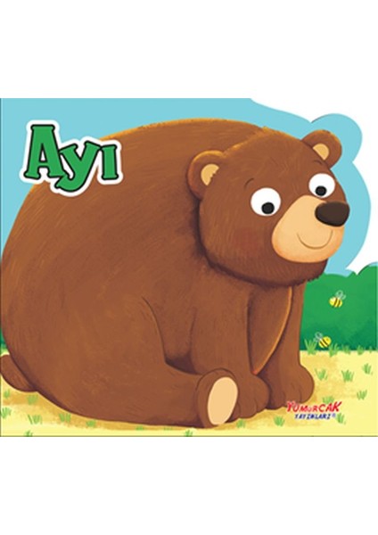Ayı - Şekilli Kitap