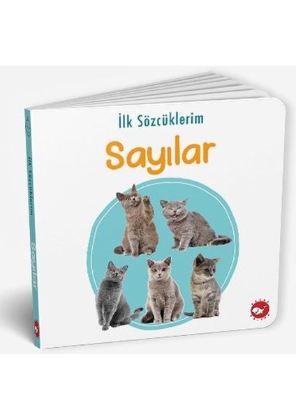 Ilk Sözcüklerim - Sayılar