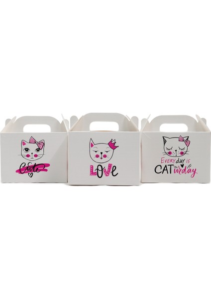 Kedi Temalı Karton Kutu 3’lü Set | 10X14 cm | Hediye, Parti ve Sunum Kutusu