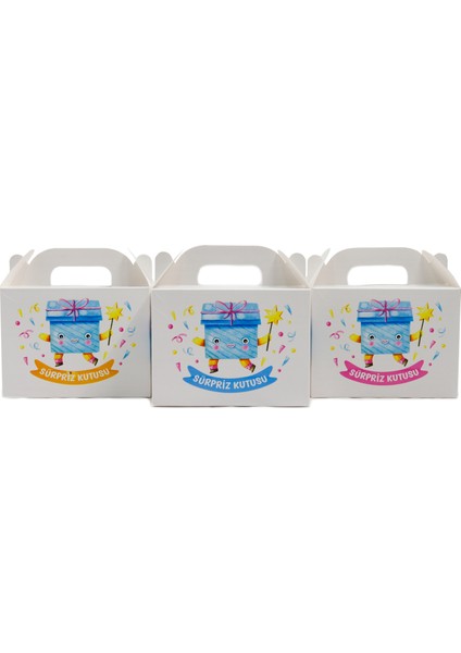 Sürpriz Temalı Karton Kutu 3’lü Set | 10X14 cm | Hediye, Parti ve Sunum Kutusu