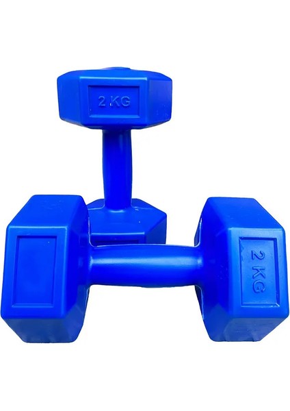 2 kg x 2 Adet Mavi Dambıl Seti Demirtozu Karışımlı Kutulu Ürün