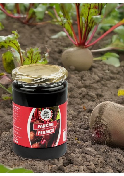 Pancar Pekmezi modelleri