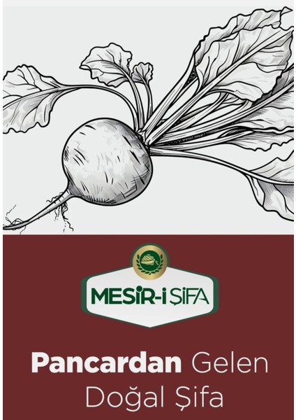 Pancar Pekmezi fırsatları