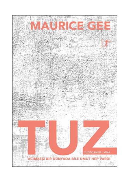 Tuz + Yapışkanlı Not Kağıdı fiyatları