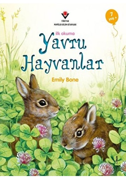 Yavru Hayvanlar - Okumaya Başlarken