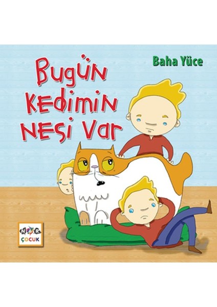 Bugün Kedimin Nesi Var