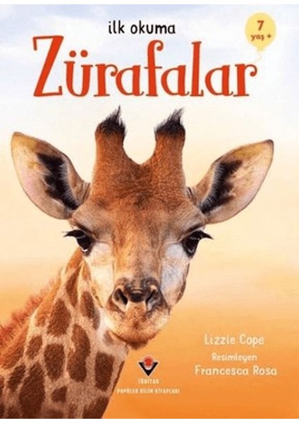 Ilk Okuma Zürafalar