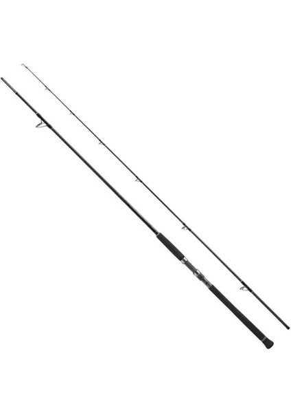 Currentsniper Xr S98XH 295CM Plug: Max 120 gr Jig: Max 150 gr Shore Jig Kamışı