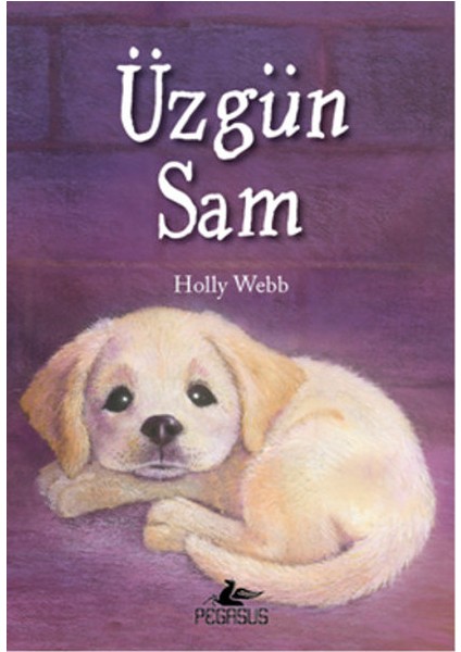 Üzgün Sam