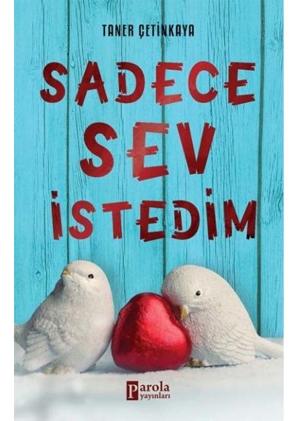 Sadece Sev Istedim