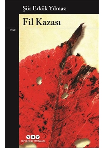 Fil Kazası