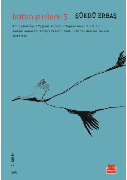 Bütün Şiirleri 3