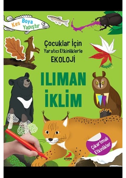 Ilıman Iklim - Çocuklar Için Yaratıcı Etkinliklerle Ekoloji - Kes-Boya-Yapıştır