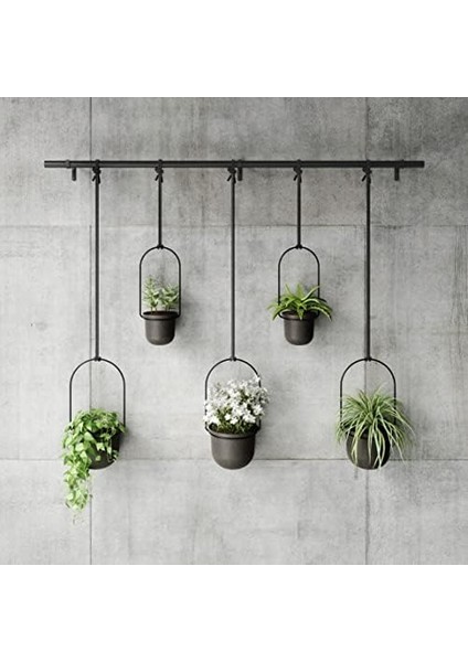 Triflora Vazo, Asma Çiçek Saksısı, Duvar Vazosu, Duvar ve Tavan Montajı Için Çiçek Askısı, 5'li Set, Siyah modelleri