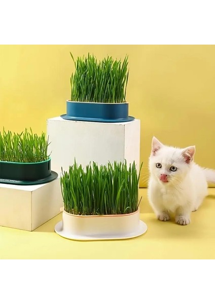 Kedi Için Hidroponik Çim Yetiştirme Saksısı fırsatları
