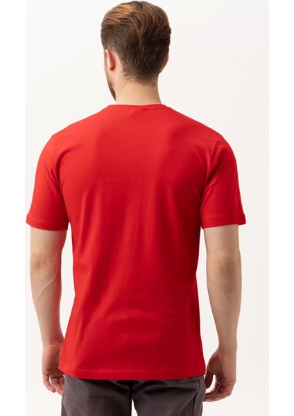 Basic Bisiklet Yaka Tişört 100 Pamuk Galanthus Shırt fırsatları