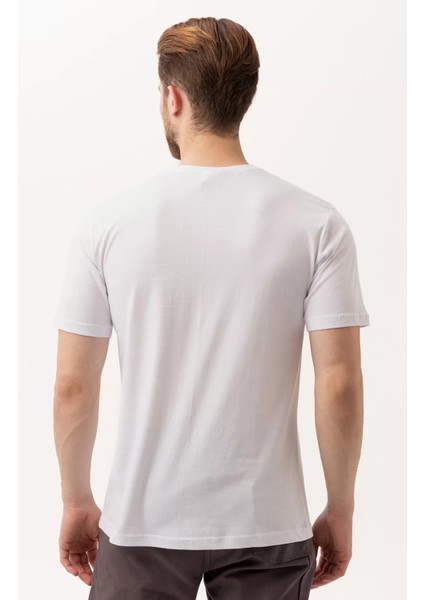 Basic Bisiklet Yaka Tişört 100 Pamuk Galanthus Shırt modelleri