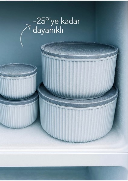 4'lü Yuvarlak Saklama Kabı Seti Çizgili I 2.5lt 1.5lt 0.80LT 0.45LT | Mikrodalga ve Dondurucu Uyumlu fırsatları