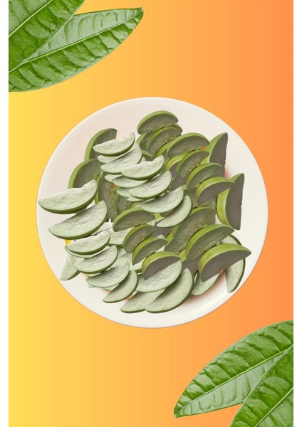Freeze Dried Dondurularak Kurutulmuş Elma - 20 gr fırsatları