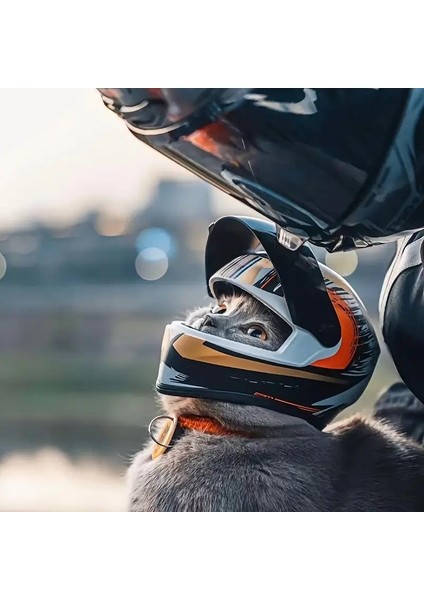 Kedi Için Motorsiklet Kaskı fırsatları