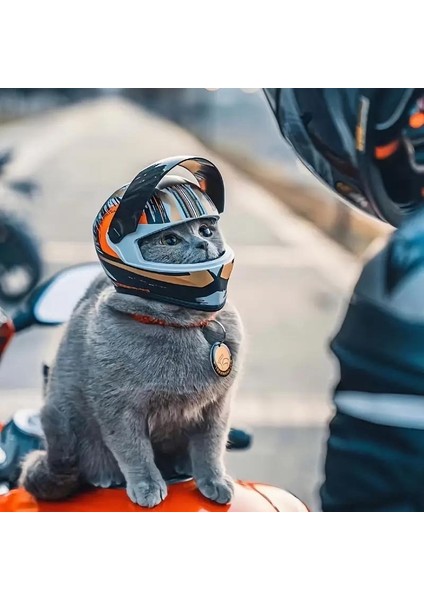 Kedi Için Motorsiklet Kaskı indirimleri