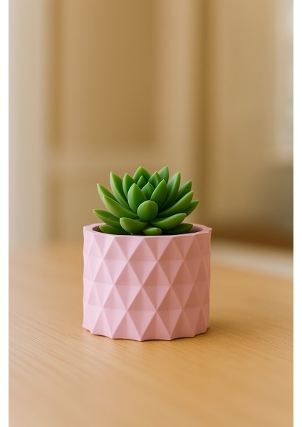 Premium Pembe Dekoratif Beton Saksı - Kaktüs ve Sukulent Saksısı