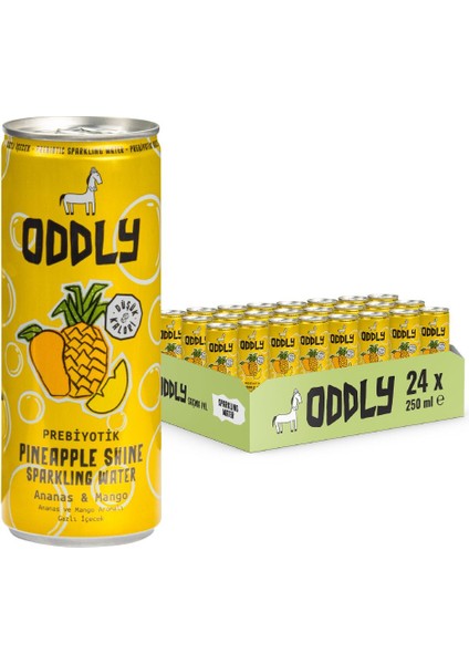 Pıneapple Shıne Ananas Mango Kutu 250 ml x 24 Adet fiyatları