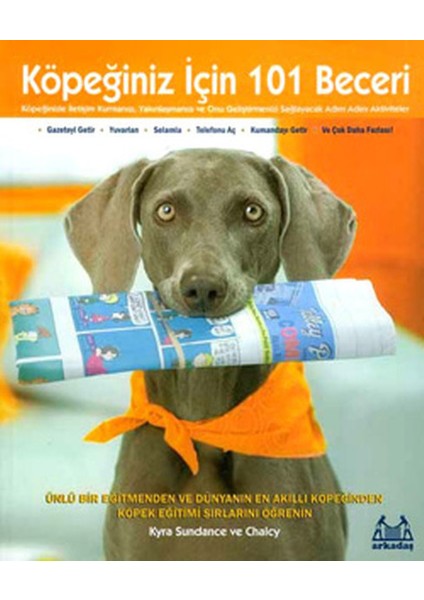Köpeğiniz Için 101 Beceri - Adım Adım Aktiviteler