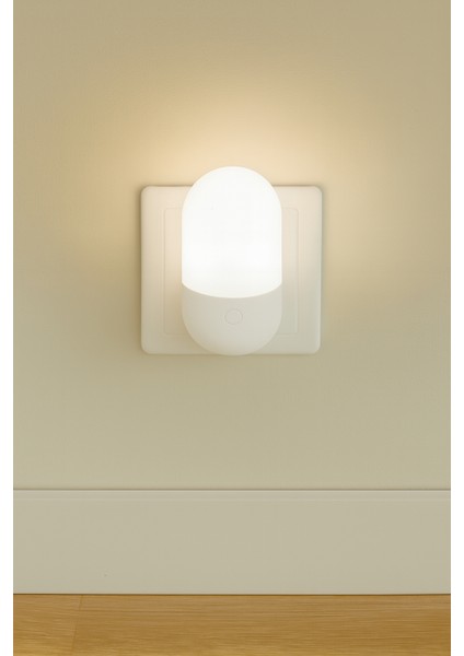 Gece Lambası Iki Renkli Günışığı ve Beyaz Renk 1 Watt LED