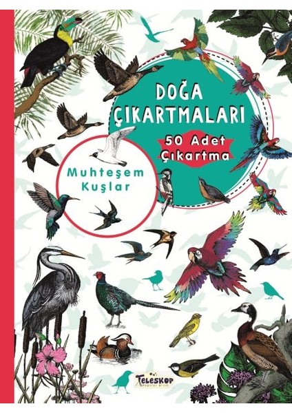 Muhteşem Kuşlar - Doğa Çıkartmaları