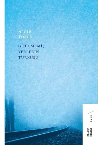 Gidilmemiş Yerlerin Türküsü - Necip Tosun