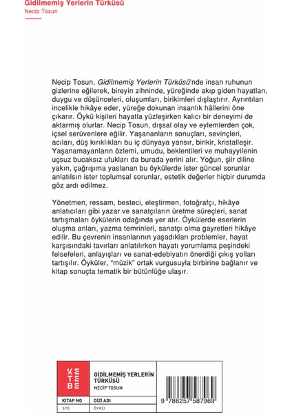 Gidilmemiş Yerlerin Türküsü - Necip Tosun fiyatları