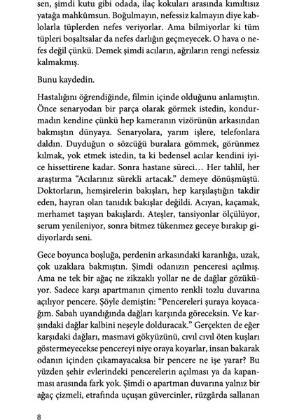 Gidilmemiş Yerlerin Türküsü - Necip Tosun