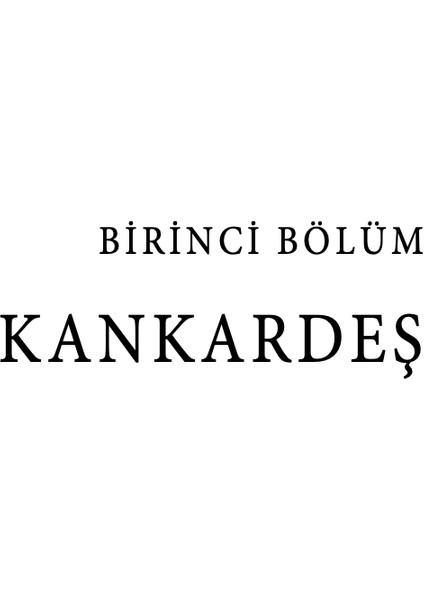 Osmanlı Mimarisinde Tarikat Yapıları (Ciltli) - Elyesa Koytak modelleri