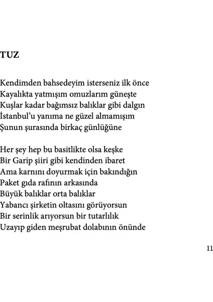 Osmanlı Mimarisinde Tarikat Yapıları (Ciltli) - Elyesa Koytak fırsatları