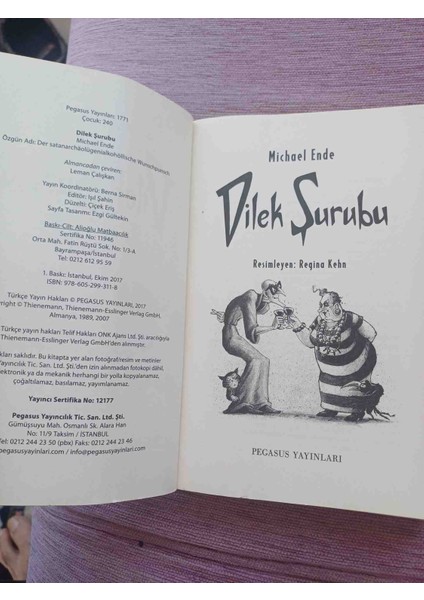 Dılek Surubu Mıchael Ende Pegasus 2017 Yili 1,basim 235 Sayfa Kapak Kenarlarinda Cok Kucuk Deforme Haric Cok Temiz Durumdadir modelleri