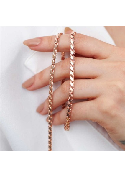 Gümüş Rose Pullu Arpa Zincir fiyatları