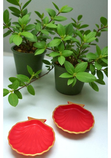 Kırmızı Gold Çizgi Detaylı 2'li Dekoratif Istiridye Takı Tabağı, Aksesuarlık, Mumluk %100 Taş Tozu 10X10CM (Vernikli)