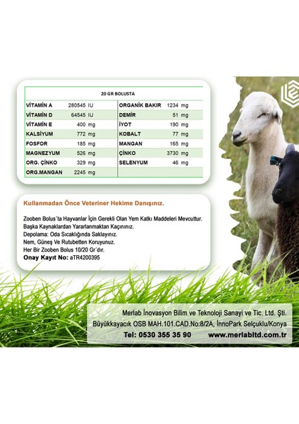 Bolus Küçükbaş Hayvan Vitamin ve Mineral Destek Takviyesi