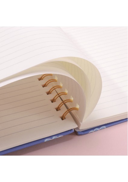 Popitli Sert Kapak Telli Defter Kedi Patisi Desenli Silgi Hediyeli fırsatları