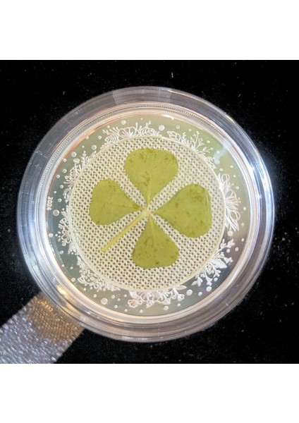 Palau Dört Yapraklı Yonca Gümüş Sertfikalı 999 Gümüş 1 Ons Kutusuyla Şans Madalyonu