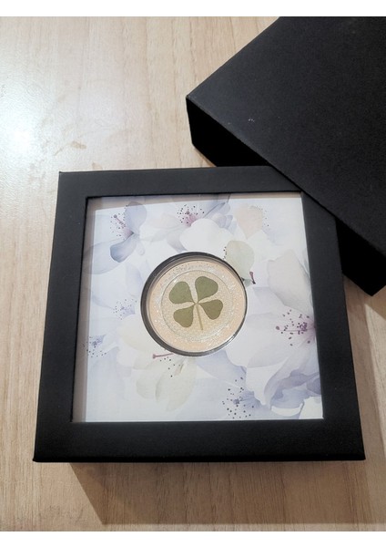 Palau Dört Yapraklı Yonca Gümüş Sertfikalı 999 Gümüş 1 Ons Kutusuyla Şans Madalyonu modelleri