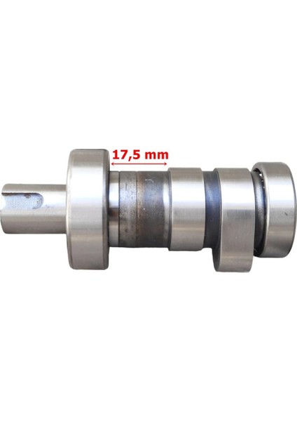 Bajaj Pulsar Ns 200 Eksantirik Mili E4