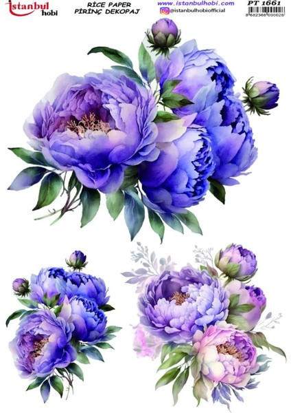 Istanbul Hobi Pirinç Dekopaj PT1661