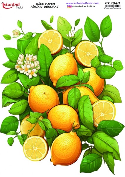 Istanbul Hobi Pirinç Dekopaj PT1548
