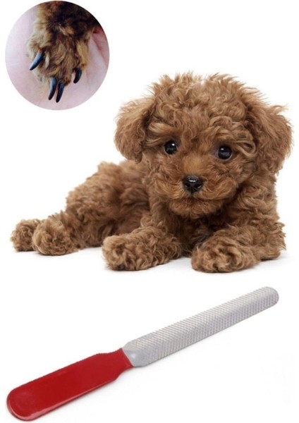 Evcil Hayvan Kedi Köpek Papağan Kuş Tırnak Makası Törpüsü Bakım Seti fırsatları