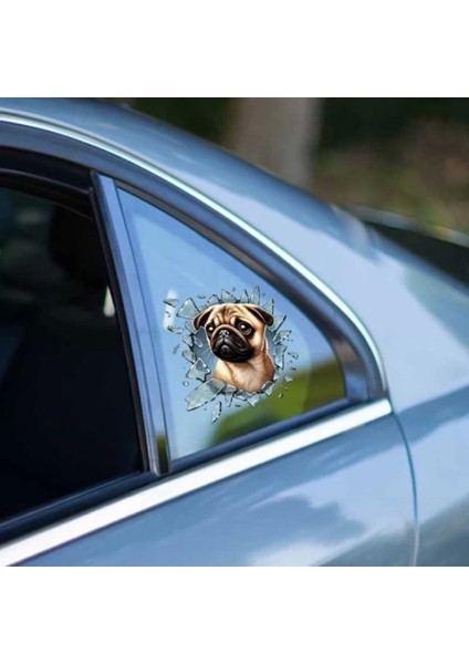 Fulcar French Bulldog Araç Stickerı modelleri