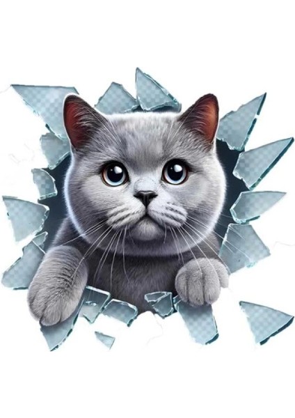 Fulcar British Araç Stickerı