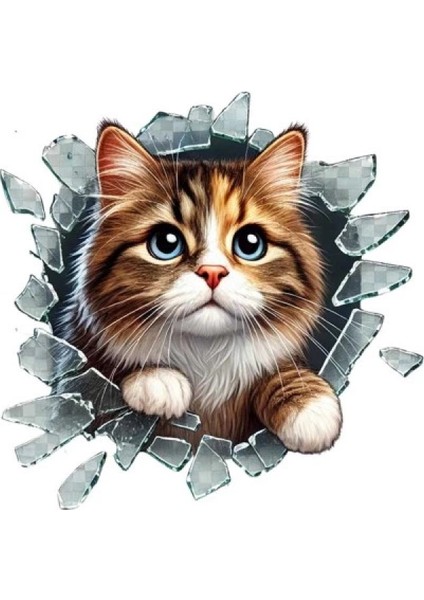 Fulcar Stray Araç Stickerı